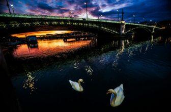 Sunset bridge in the city of Lyon