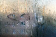 the word sex is written on wet glass